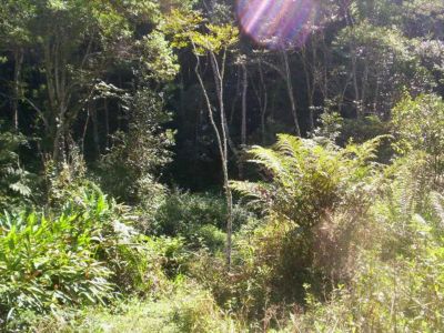 CHÁCARA C/ 66.000 M²- JUQUITIBA - SP - - COD: 381        