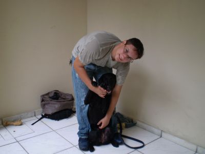 Adestramento de Cães