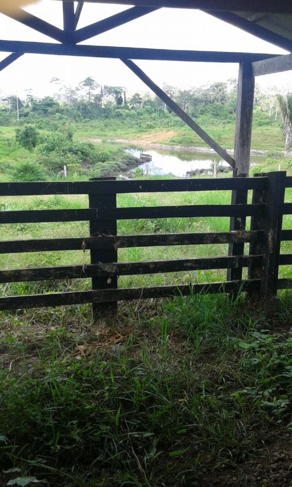 Fazenda na Transacreana - Ramal Jarinal