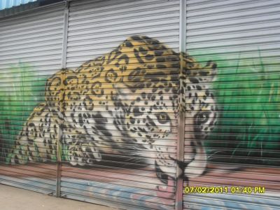 Grafiteiro Disponivel para Pintura de Portas de Aço Muros e Outros