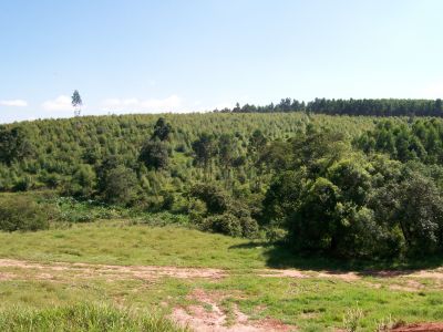 Sítio em Atibaia moradia ou lazer 30.000m² R$ 650 mil set.11