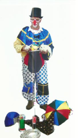 Decoração infantil e Locação de brinquedos/ Palhaço e mágico Ronaldy Campinas-SP