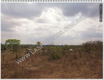 VENDE-SE FAZENDA NO TOCANTINS - 206 ALQ. (Rio Araguaia)