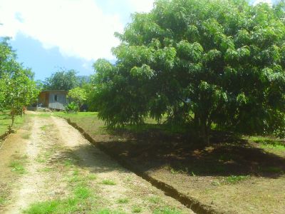 Chácara na Montanha - Morretes