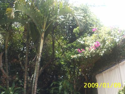 Vendo ou troco, casa grande na zona leste de São Paulo.