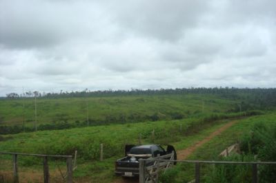 Fazenda de 300 HECTARES NO PARÁ