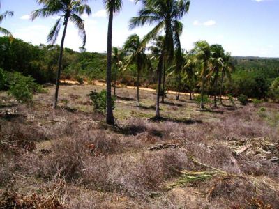 Terreno no Litoral Norte de Salvador Bahia