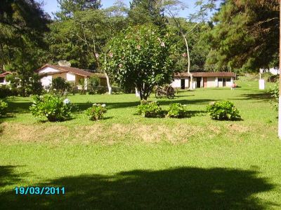 SÍTIO COM 8 ALQUEIRES - COD: 368 - F: (11) 7302-9229