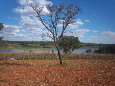 vende-se chácara  de 2 a 3 hectares 