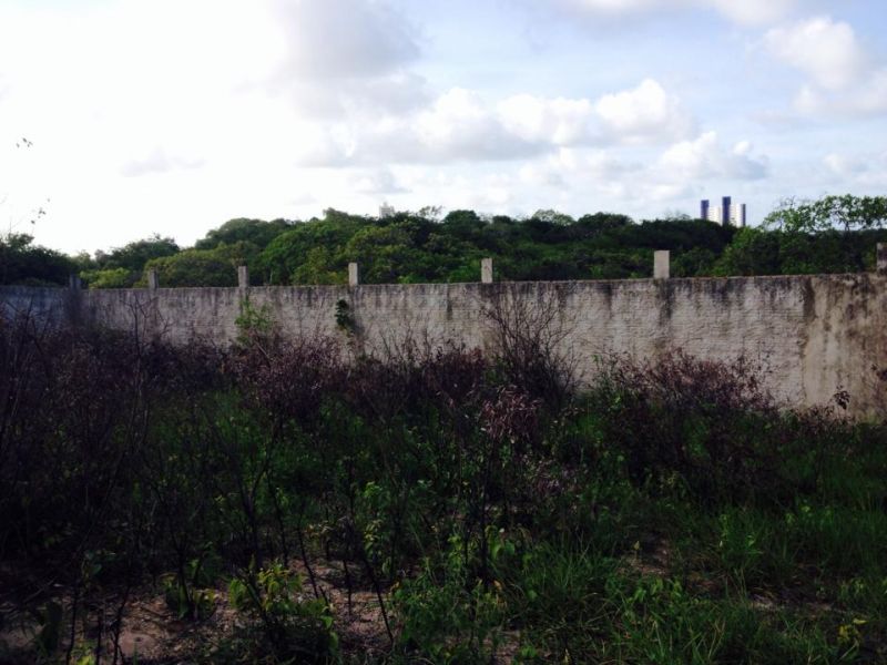 Terreno em Ponta Negra - Código TE00002