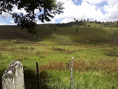  a maior e melhor fazenda a venda em alagoas
