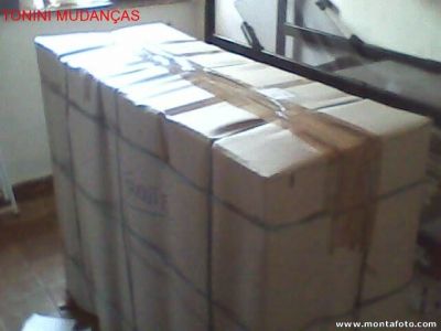 TRANSPORTADORA TONINI MUDANCAS E GUARDA-MÓVEIS