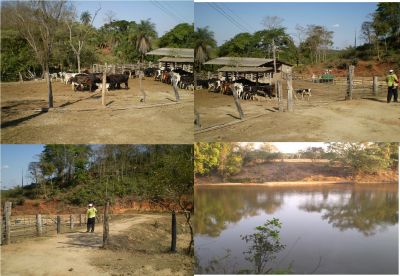 Fazenda em são Jose da Varginha , MG 