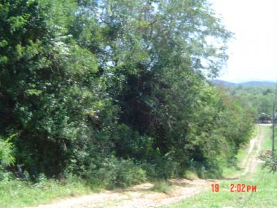 VENDO ÁREA DE TERRA NA CIDADE HISTÓRICA DE ANTONINA-LITORAL DO PARANÁ