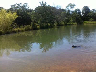 FAZENDA MONTADA 