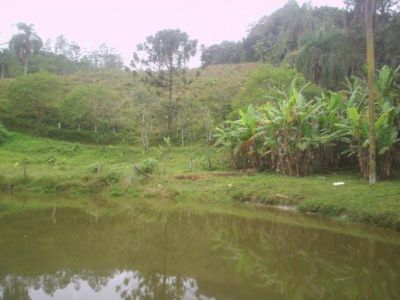 SÍTIO COM 4 ALQUEIRES - JUQUITIBA - SP - - COD: 410 - F: (11) 4686-1562 - CEL: (11) 7302-9229