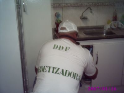 ddf dedetizadora controle de pragas urbanas.