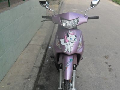 Imperdível Bis 2010  Rosa novissima