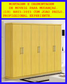Montador  de  moveis - Paulinia-Campinas-Sumare-Hortolandia e regiao.