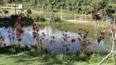 Sítio em Juquitiba a venda com lago nascente piscina churrasqueira cod 155 