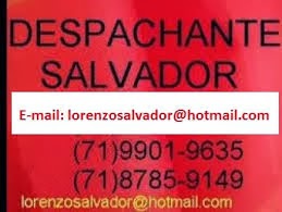 Despachante Documentalista em Salvador Bahia