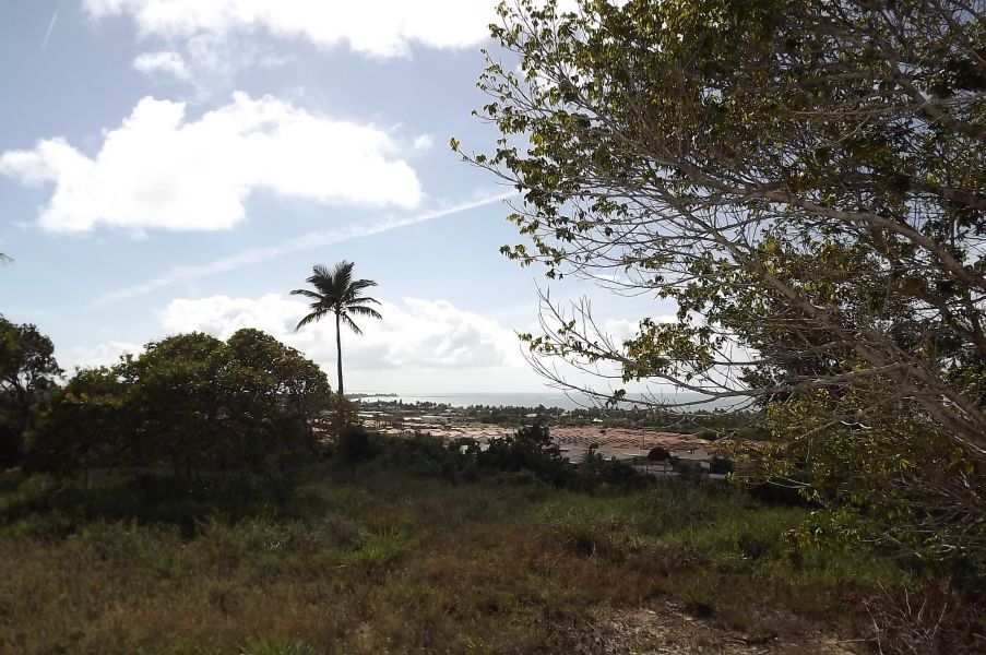 Praia Taperapuã Alto Vista Mar lotes a partir de 600 m2 