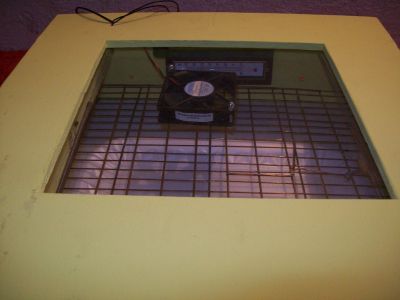 CHACADEIRAS AUTOMATICAS PARA 40 OVOS 130 REAIS