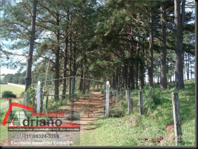 Próximo da Rodovia Dom Pedro I 