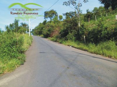 lote em novo horizonte