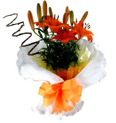 Floriculturas, Flora, Flores, Arranjos e Cestas em Contagem MG, Cesta de flores entregas Contagem  