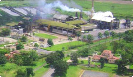 GRANDES USINAS A VENDA NO BRASIL