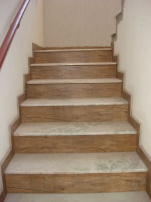 Casa 3 dormitórios - nova