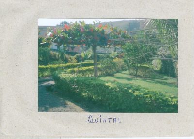 Casas em Miguel Pereira