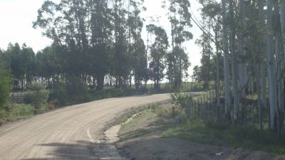  La Sierra de Los Caracoles
