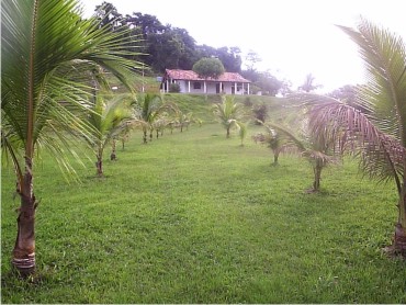 CACHOEIRAS DE MACACÚ SITIOS A VENDA CAETANO IMOVEIS