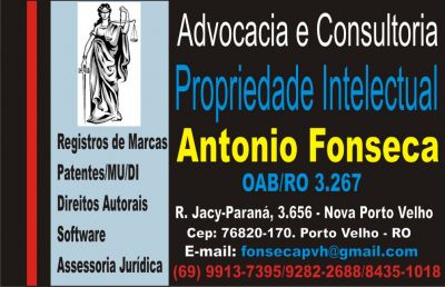 ADVOCACIA EM PROPRIEDADE INTELECTUAL