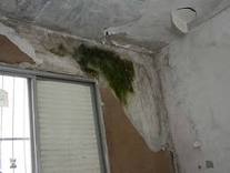 Impermeabilizante Imperfort  para Baldrames, Alicerces, Muros de Arrimo, Reservatórios, banheiros...