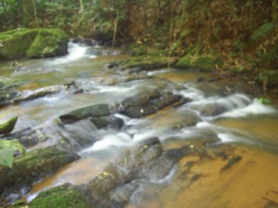 CHÁCARA C/ 66.000 M²- JUQUITIBA - SP - - COD: 381        