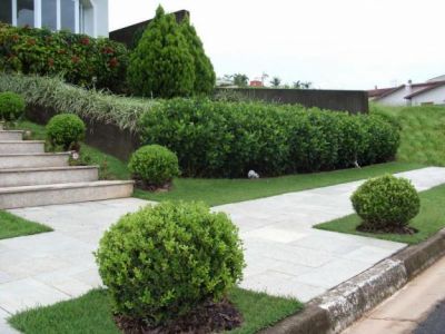 Manutenção de piscina e jardim.