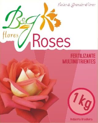 B&G FLORES LTDA