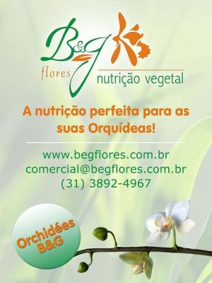 B&G Flores e Fertilizantes