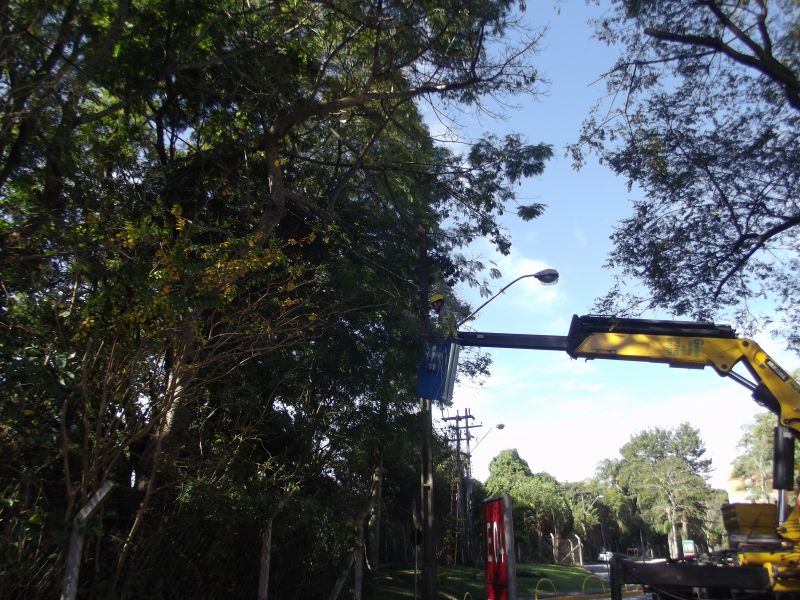 Empresa de Corte de Árvores em Curitiba