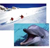 23 viagens, 3 p/disney