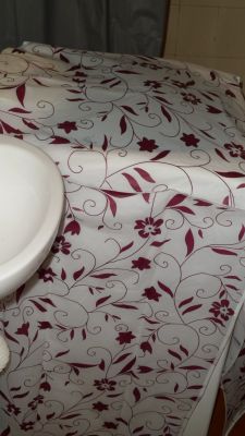 Venha conhecer a maior festa do mundo!