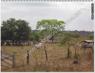 VENDE-SE FAZENDA NO TOCANTINS - 206 ALQ. (Rio Araguaia)