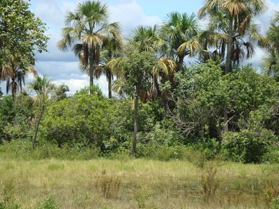 FAZENDA RIO DA PRATA