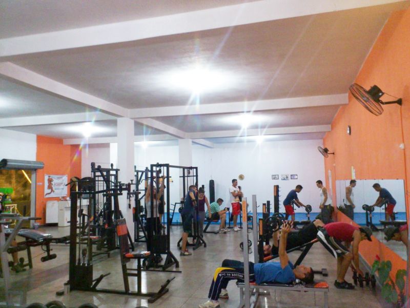 Tiger Academia Perus