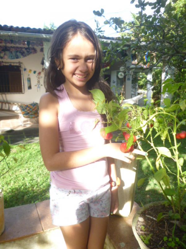 Plot Eldorado in Brazil. BR 101 North km 50. Goiana/PE