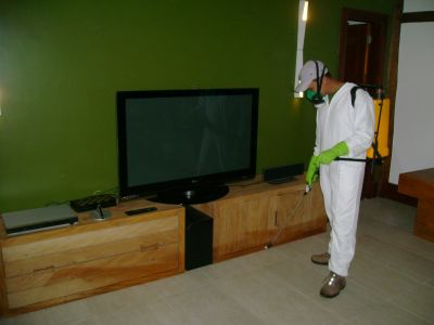 Imuni Astro Dedetização Angra dos Reis (24) 3369-2713