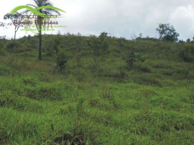 chácara c/ água corrente no meio Igarapé itatiaiuçu